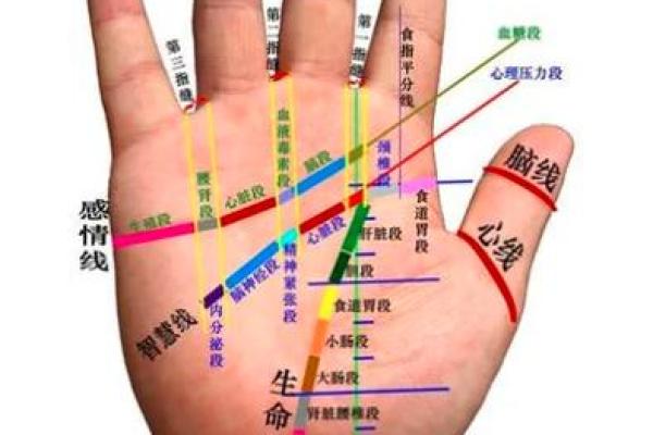 探秘手指尖手相：如何解读隐藏在指尖的未来