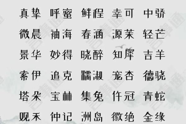 公司起名秘笈:如何选出一个既独特又易记的名字 公司起名秘笈:如何选出一个既独特又易记的名字