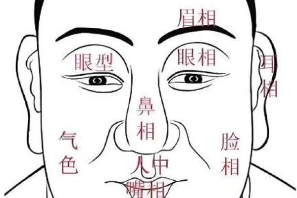 一眼识真爱的面相密码:揭秘你的情缘面相 一眼识真爱的面相密码:揭秘你的情缘面相