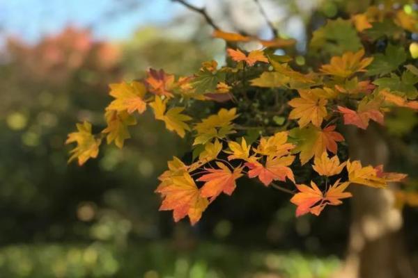 探秘火土格：你的命运正在悄悄改变