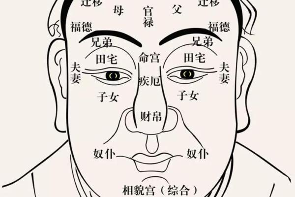 面相大师教你一眼识人：周易揭秘命运密码，识破人心，运势亨通