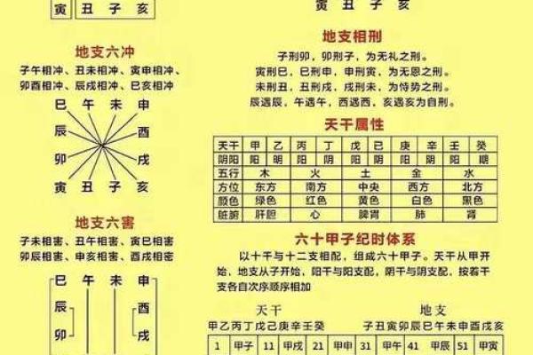 了解天干时啥，学会如何运用到生活中