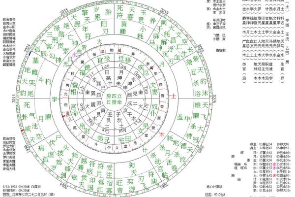 乙巳日命理揭秘：如何解读你的命运轨迹