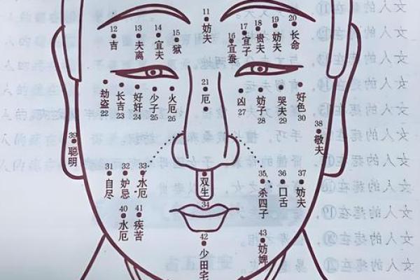 揭秘:面相中的成功基因,看哪些面相的小孩长大最有出息 揭秘:面相中的成功基因,看哪些面相的小孩长大最有出息