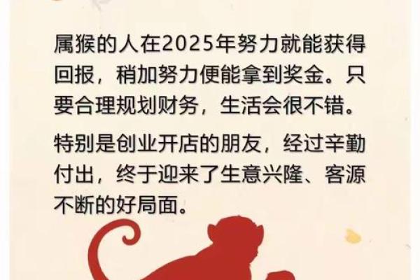 申时生肖宝典：掌握你的生肖财富密码