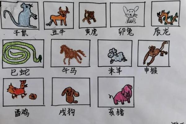 生肖大揭秘:12个生肖背后的神奇传说 生肖大揭秘:12个生肖背后的神奇传说