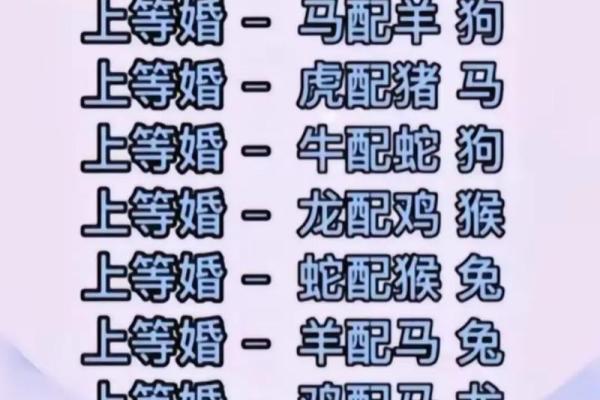 揭秘:男肖生肖之谜,揭秘你的生肖运势 揭秘:男肖生肖之谜,揭秘你的生肖运势