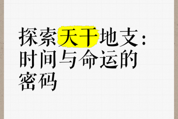 辛天干的深层秘密，解开命运的密码