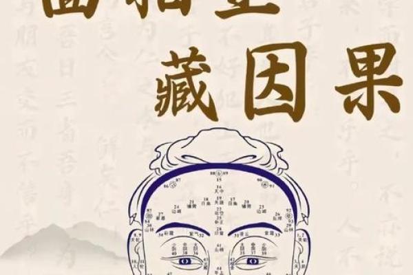 识人于面:揭秘面相的神奇魅力,让你一眼看穿人心 识人于面:揭秘面相的神奇魅力,让你一眼看穿人心