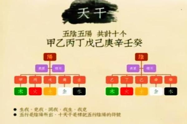 天干相合者的奥秘：你不知道的命运巧合