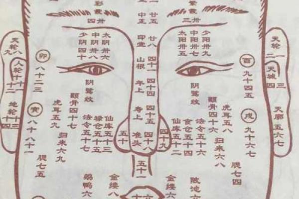 面相解析：揭秘那些令人惊艳的美丽女子神秘面相特征