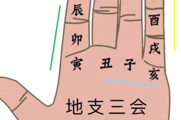 掌握天干地支五行,掌控命运的钥匙 掌握天干地支五行,掌控命运的钥匙