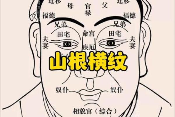 印堂距离面相揭秘：面相大师教你如何一眼识人