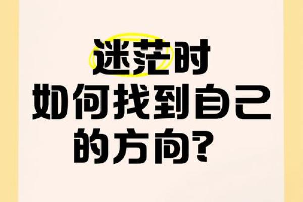 玩八字游戏，了解自己，找到人生的正确方向