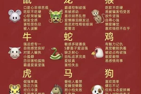 揭秘12生肖,探寻生肖背后的神奇魅力 揭秘12生肖,探寻生肖背后的神奇魅力