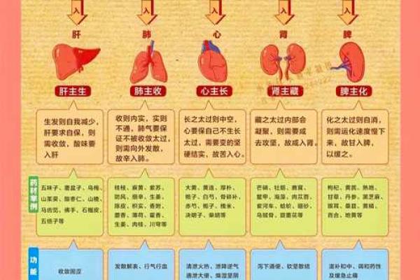 悦字五行解读:如何根据五行理论找到内心的平衡 悦字五行解读:如何根据五行理论找到内心的平衡