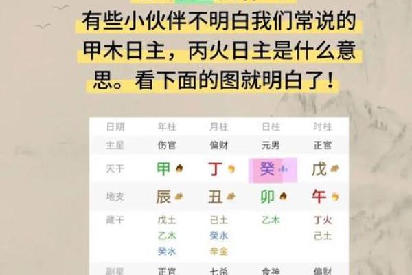 揭秘天干十神兽的神秘力量，你知道多少？