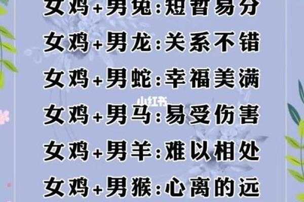 十二生肖姻缘之谜：揭秘生肖配对幸福密码