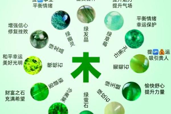 五行木的深层象征与意义 五行木的深层象征与意义