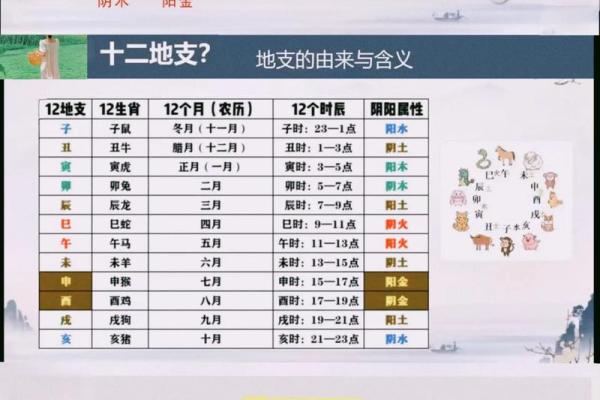 从零开始学地支天干读音，速成技巧