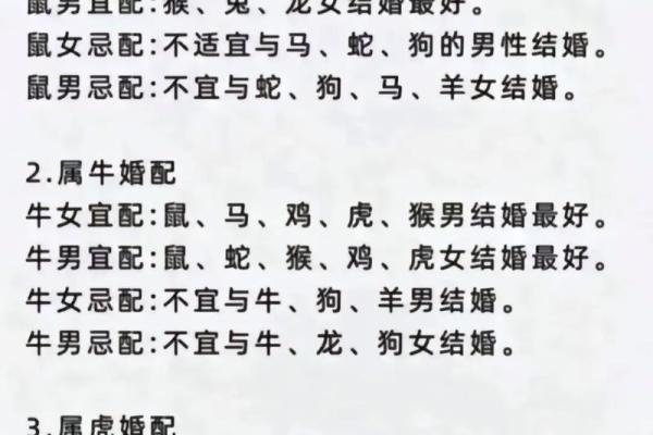 婚恋新潮流：血型属相配对，揭秘你的理想伴侣