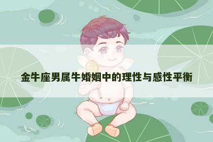 金牛座男属牛婚姻中的理性与感性平衡